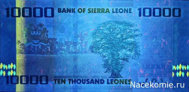 Коллекция alexenamel