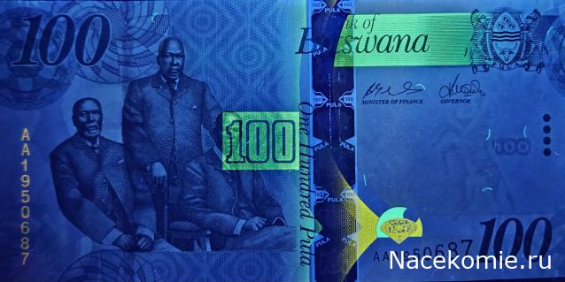 Коллекция alexenamel