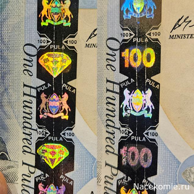 Коллекция alexenamel