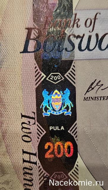 Коллекция alexenamel