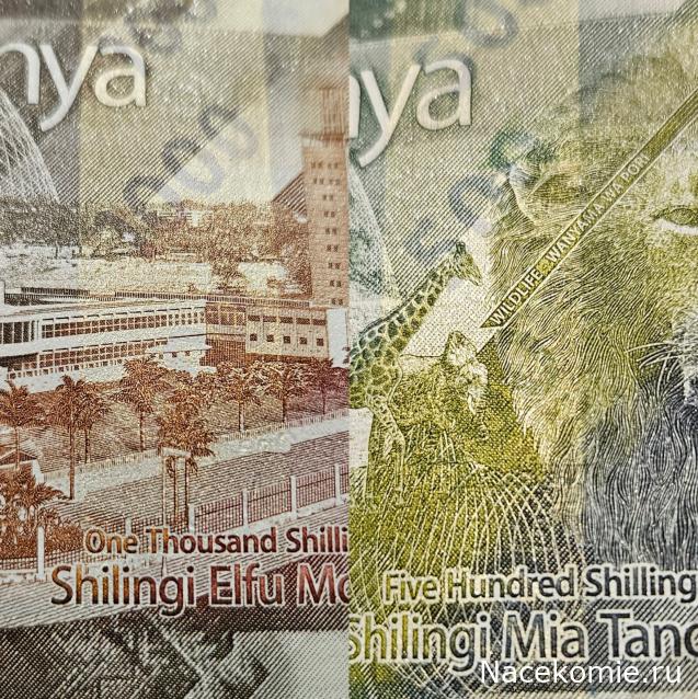 Коллекция alexenamel