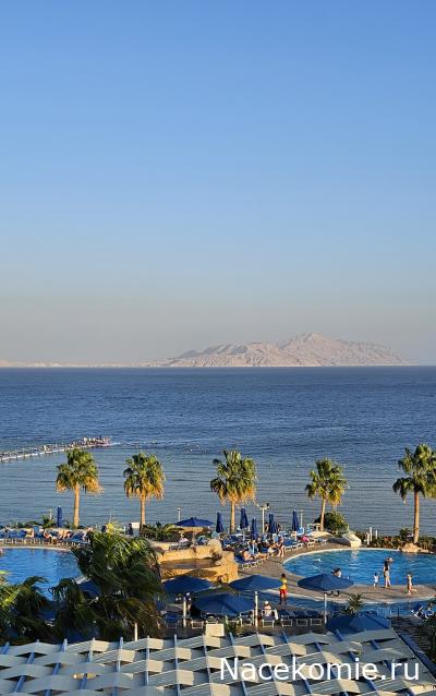 Коллекция alexenamel