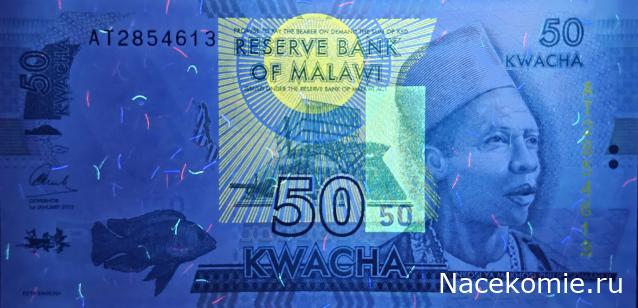 Коллекция alexenamel