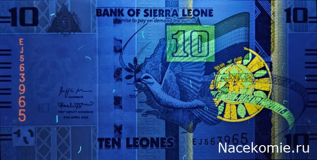 Коллекция alexenamel