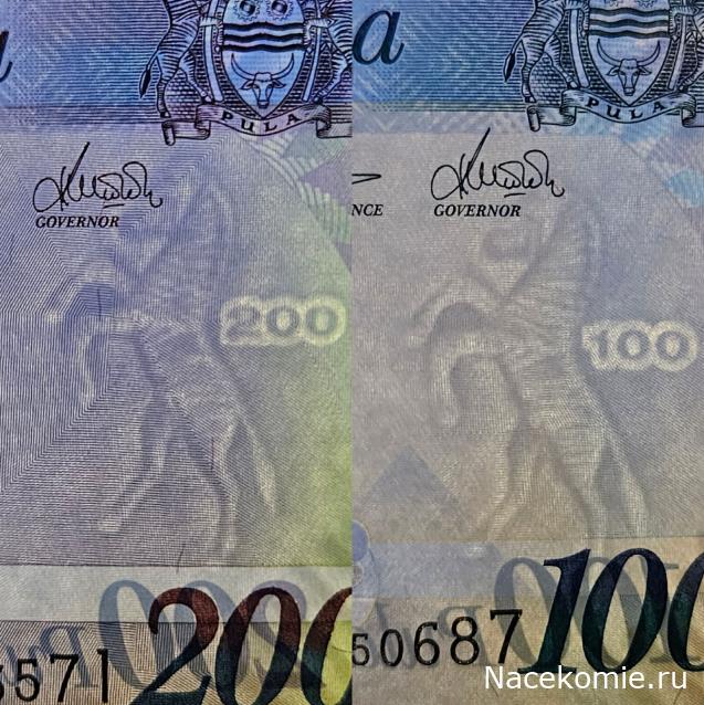 Коллекция alexenamel