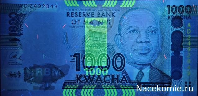 Коллекция alexenamel