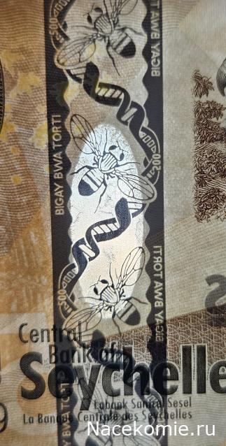 Коллекция alexenamel