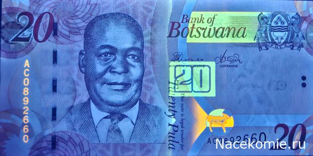 Коллекция alexenamel