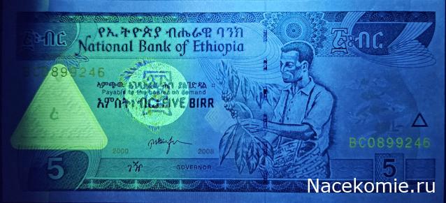 Коллекция alexenamel