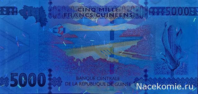 Коллекция alexenamel