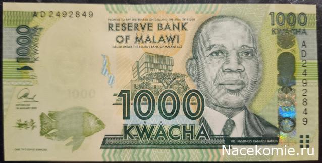 Коллекция alexenamel