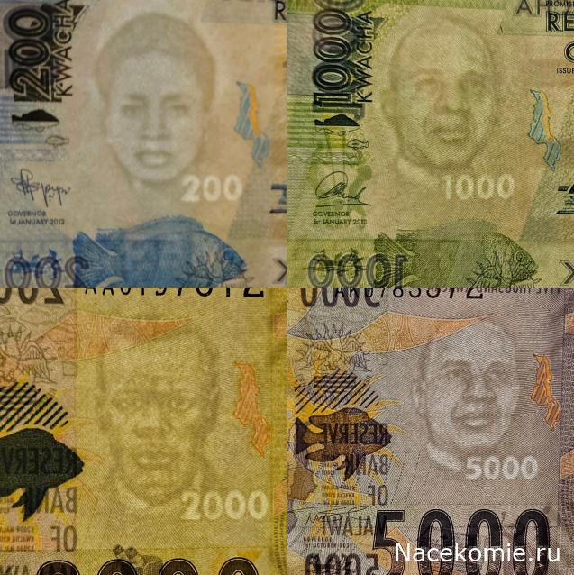 Коллекция alexenamel