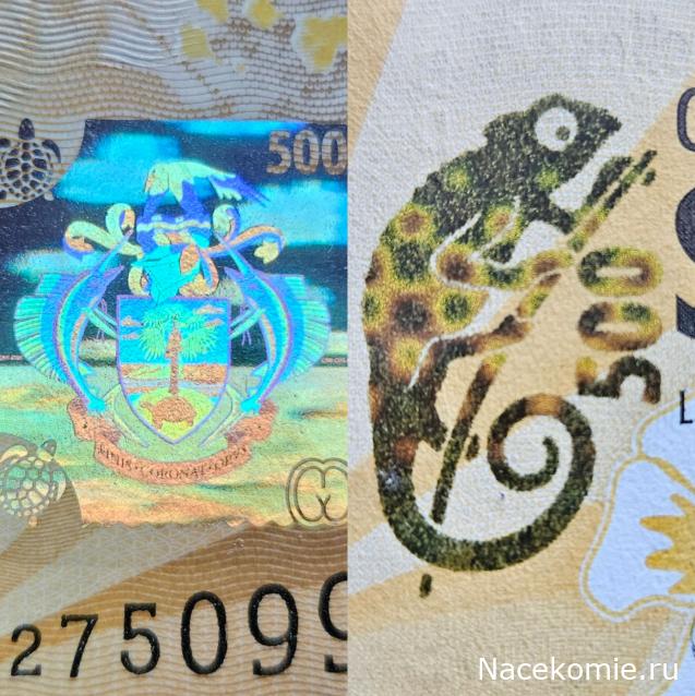 Коллекция alexenamel