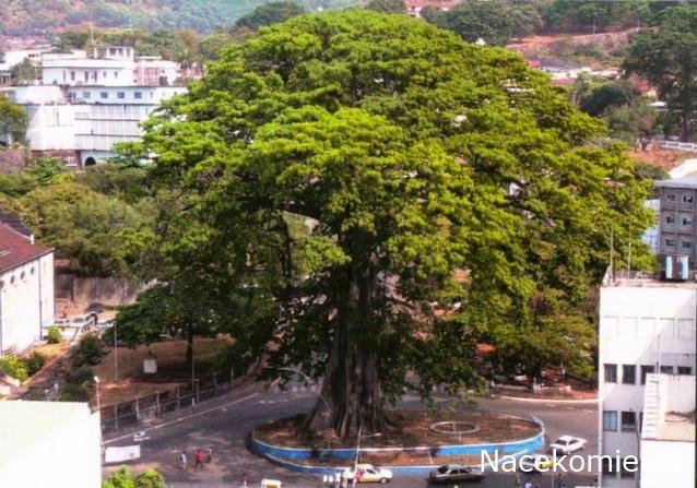 Коллекция alexenamel