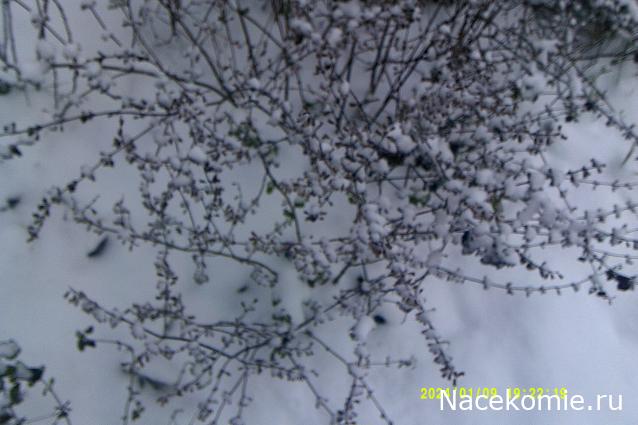 Eva1949 - Дом мечты-души моей воспоминания; 1Abrikoska - Мой гостеприимный дом