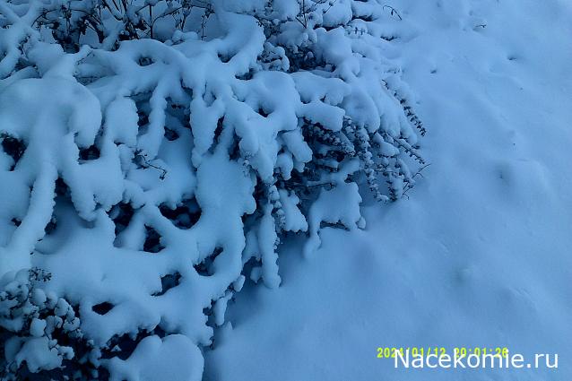 Eva1949 - Дом мечты-души моей воспоминания; 1Abrikoska - Мой гостеприимный дом