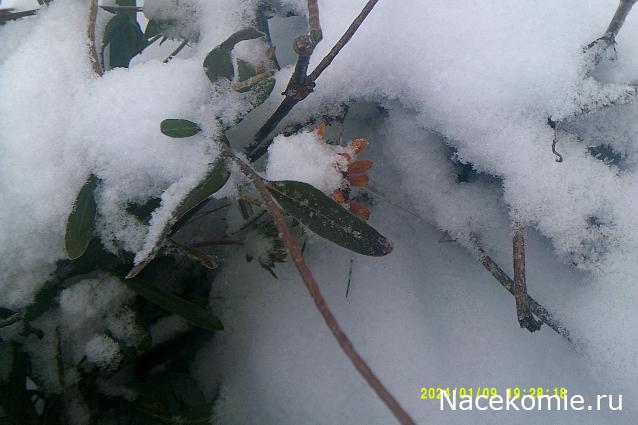 Eva1949 - Дом мечты-души моей воспоминания; 1Abrikoska - Мой гостеприимный дом