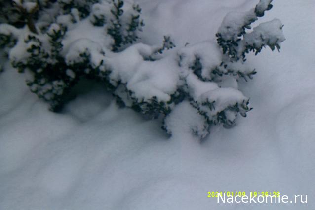 Eva1949 - Дом мечты-души моей воспоминания; 1Abrikoska - Мой гостеприимный дом