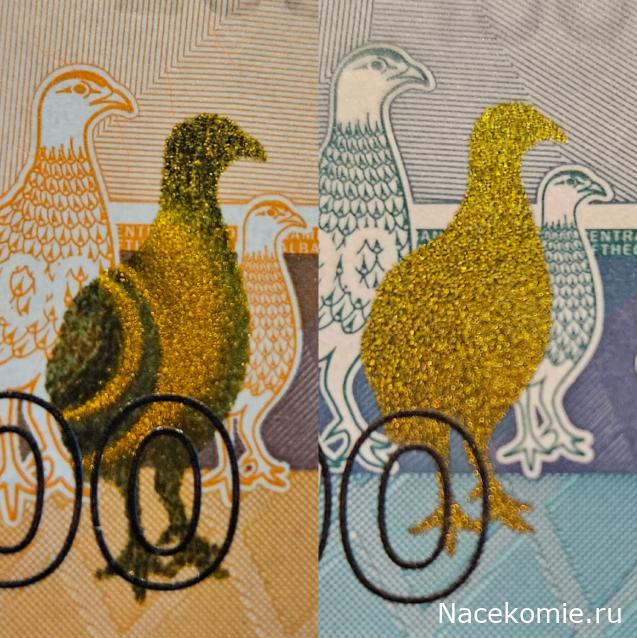 Коллекция alexenamel