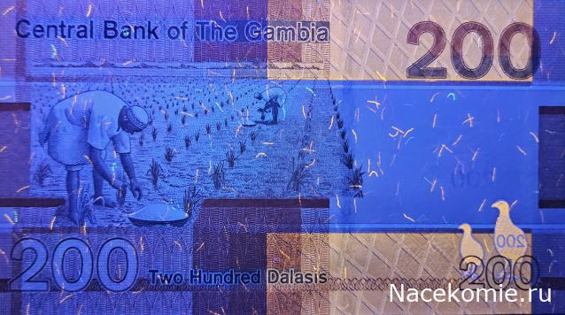 Коллекция alexenamel