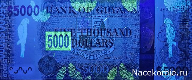 Коллекция alexenamel