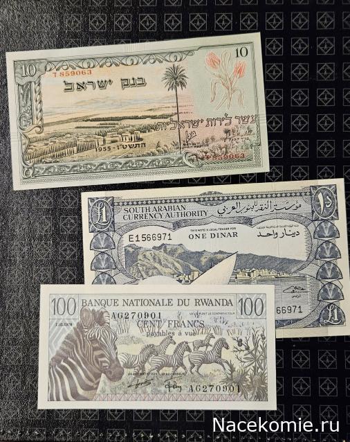 Коллекция alexenamel