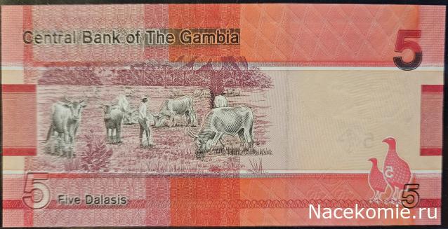 Коллекция alexenamel