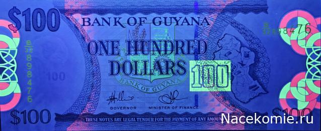 Коллекция alexenamel