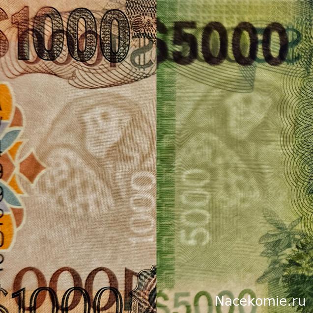 Коллекция alexenamel