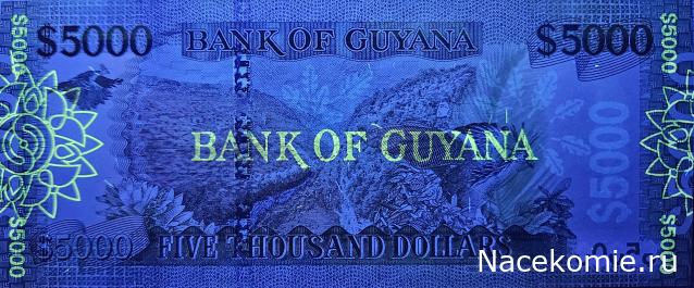 Коллекция alexenamel