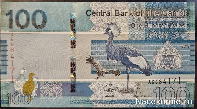 Коллекция alexenamel