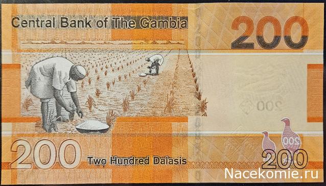 Коллекция alexenamel