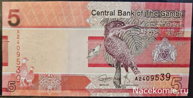 Коллекция alexenamel