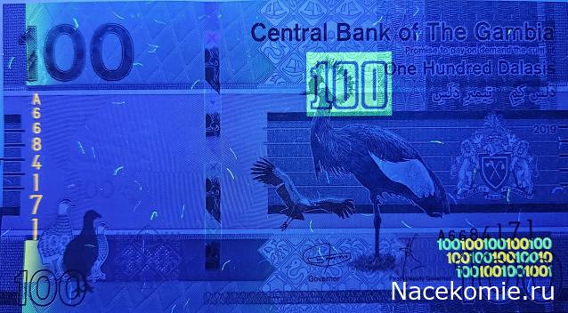 Коллекция alexenamel