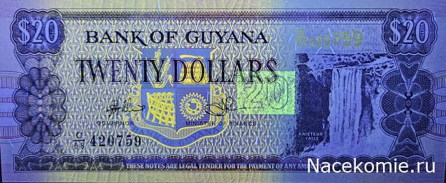 Коллекция alexenamel