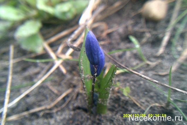 Eva1949 - Дом мечты-души моей воспоминания; 1Abrikoska - Мой гостеприимный дом