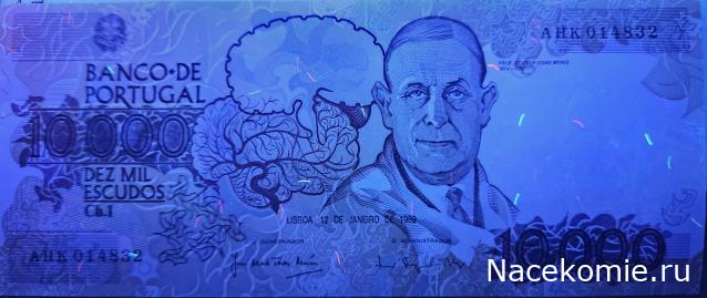 Коллекция alexenamel