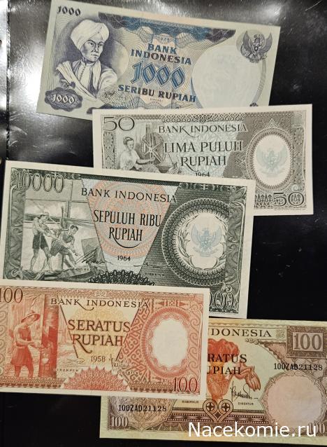 Коллекция alexenamel