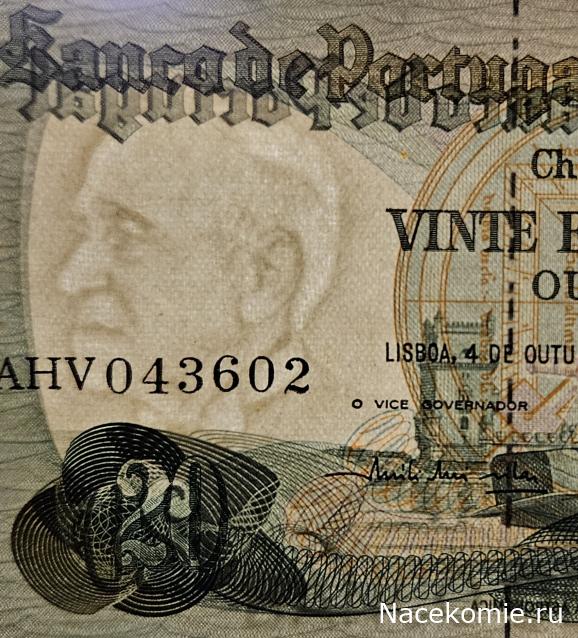 Коллекция alexenamel