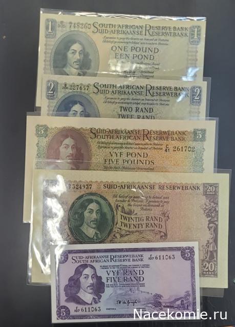 Коллекция alexenamel