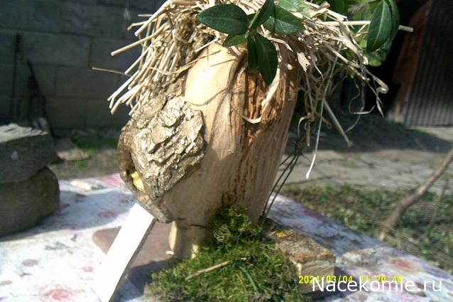 Eva1949 - Дом мечты-души моей воспоминания; 1Abrikoska - Мой гостеприимный дом