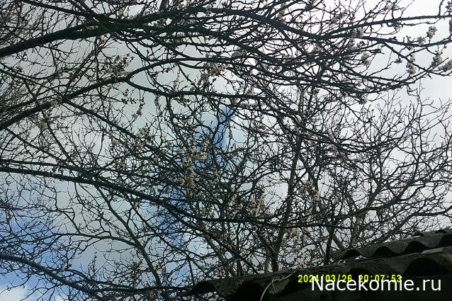 Eva1949 - Дом мечты-души моей воспоминания; 1Abrikoska - Мой гостеприимный дом