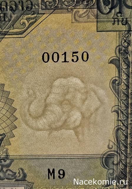 Коллекция alexenamel