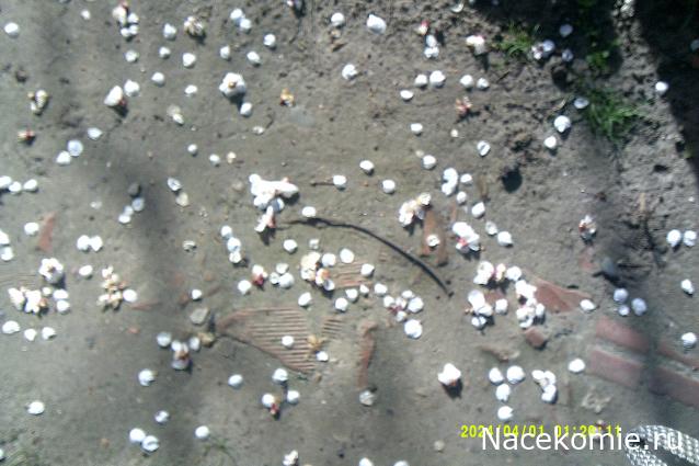 Eva1949 - Дом мечты-души моей воспоминания; 1Abrikoska - Мой гостеприимный дом