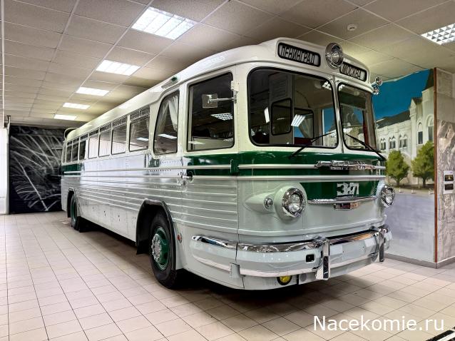 Околоавтобусная болталка