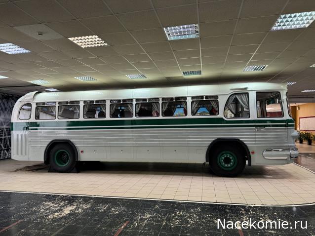 Околоавтобусная болталка