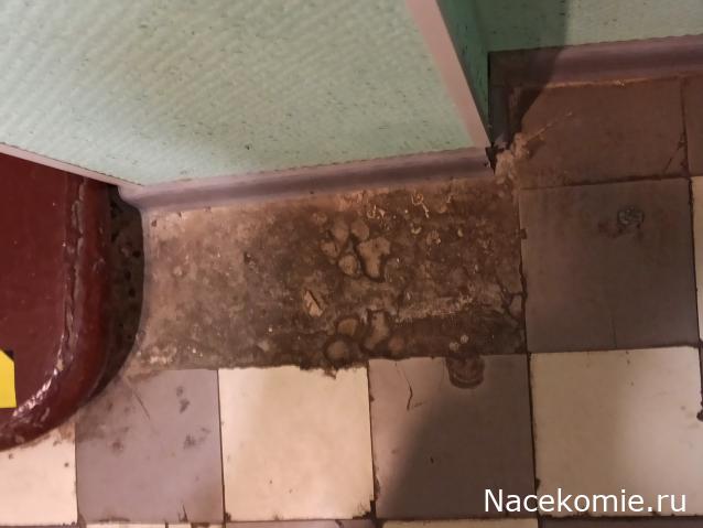 Мой любимый город или дорогие сердцу места