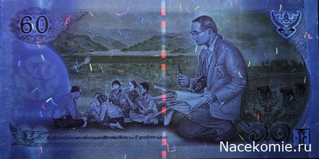 Коллекция alexenamel