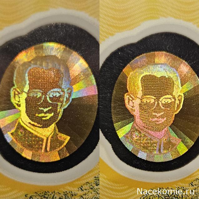 Коллекция alexenamel