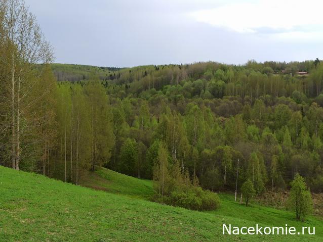 Мой любимый город или дорогие сердцу места